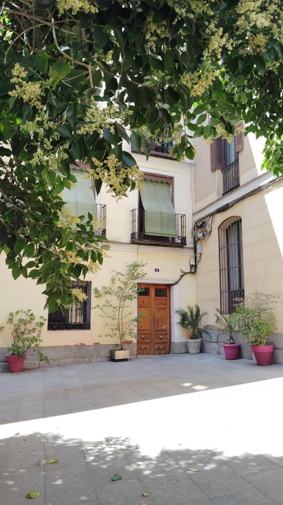 Centrico Apartamento Con Patio Madrid Exteriör bild